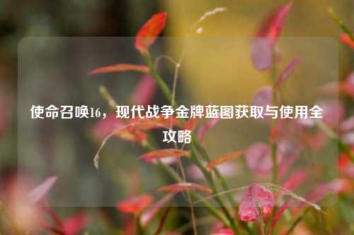 使命召唤16，现代战争金牌蓝图获取与使用全攻略