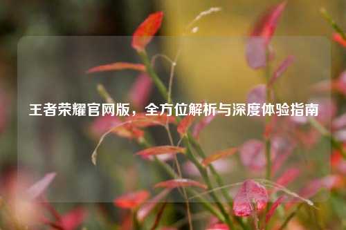 王者荣耀官网版，全方位解析与深度体验指南