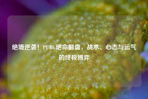 绝境逆袭！PUBG绝命翻盘，战术、心态与运气的终极博弈