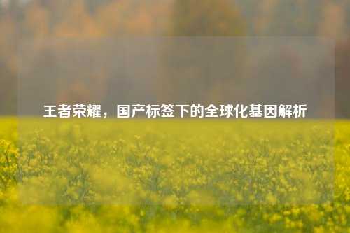 王者荣耀，国产标签下的全球化基因解析