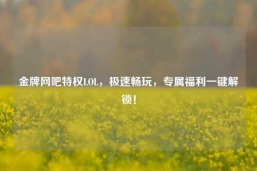 金牌网吧特权LOL，极速畅玩，专属福利一键解锁！