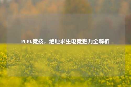 PUBG竞技，绝地求生电竞魅力全解析