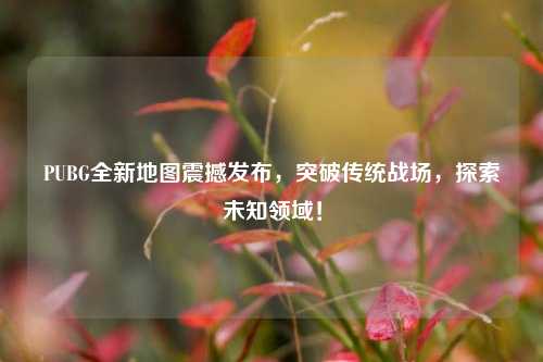PUBG全新地图震撼发布，突破传统战场，探索未知领域！