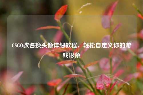 CSGO改名换头像详细教程，轻松自定义你的游戏形象