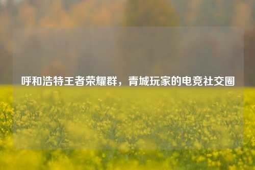 呼和浩特王者荣耀群，青城玩家的电竞社交圈