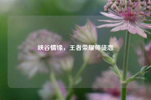 峡谷情缘，王者荣耀师徒恋