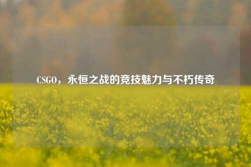 CSGO，永恒之战的竞技魅力与不朽传奇