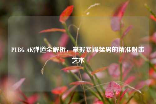 PUBG AK弹道全解析，掌握暴躁猛男的精准射击艺术