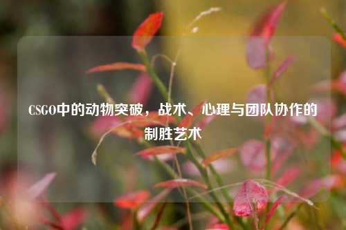 CSGO中的动物突破，战术、心理与团队协作的制胜艺术