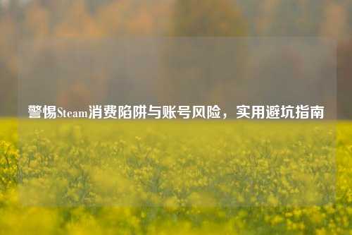警惕Steam消费陷阱与账号风险，实用避坑指南
