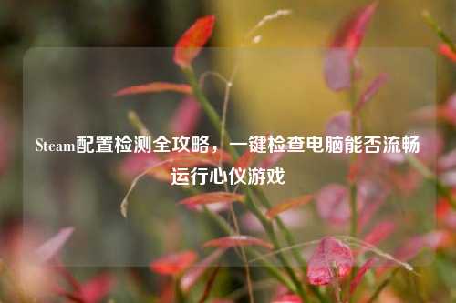 Steam配置检测全攻略，一键检查电脑能否流畅运行心仪游戏