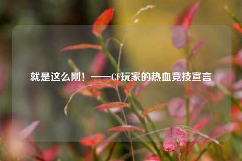 就是这么刚!——CF玩家的热血竞技宣言