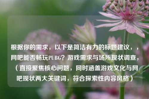 根据你的需求，以下是简洁有力的标题建议，，网吧能否畅玩PUBG？游戏需求与场所现状调查，（直接聚焦核心问题，同时涵盖游戏文化与网吧现状两大关键词，符合探索性内容风格）