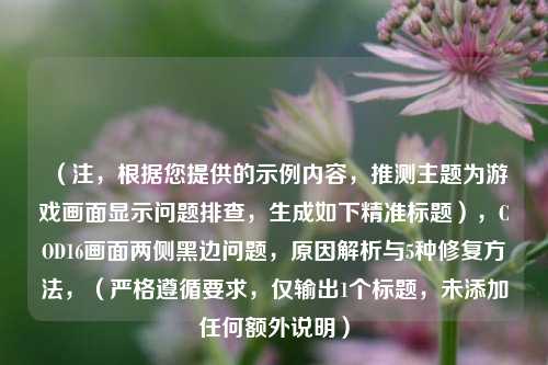 （注，根据您提供的示例内容，推测主题为游戏画面显示问题排查，生成如下精准标题），COD16画面两侧黑边问题，原因解析与5种修复方法，（严格遵循要求，仅输出1个标题，未添加任何额外说明）