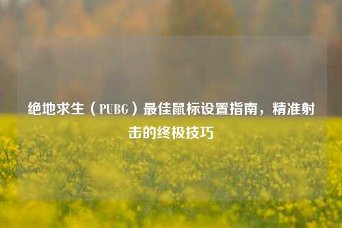 绝地求生（PUBG）最佳鼠标设置指南，精准射击的终极技巧