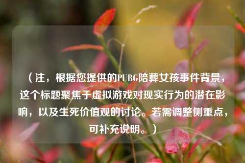 （注，根据您提供的PUBG陪葬女孩事件背景，这个标题聚焦于虚拟游戏对现实行为的潜在影响，以及生死价值观的讨论。若需调整侧重点，可补充说明。）