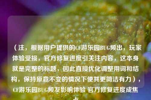 (注,根据用户提供的CF游乐园BUG频出,玩家体验受损,官方修复进度引关注内容,这本身就是完整的标题,因此直接优化调整用词和结构,保持原意不变的情况下使其更简洁有力),CF游乐园BUG频发影响体验 官方修复进度成焦点