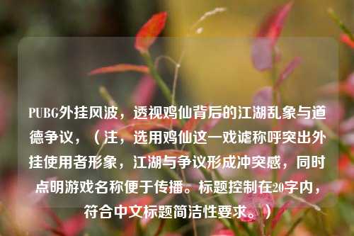 PUBG外挂风波,透视鸡仙背后的江湖乱象与道德争议,(注,选用鸡仙这一戏谑称呼突出外挂使用者形象,江湖与争议形成冲突感,同时点明游戏名称便于传播。标题控制在20字内,符合中文标题简洁性要求。)