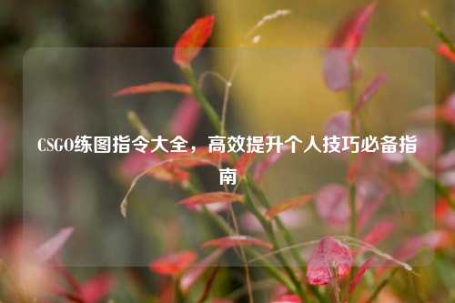 CSGO练图指令大全，高效提升个人技巧必备指南