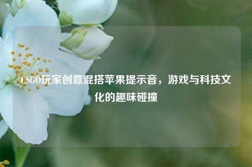 CSGO玩家创意混搭苹果提示音，游戏与科技文化的趣味碰撞