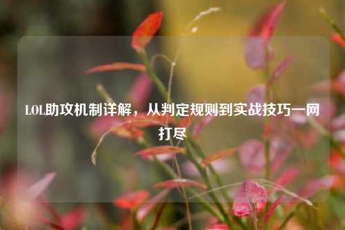 LOL助攻机制详解,从判定规则到实战技巧一网打尽