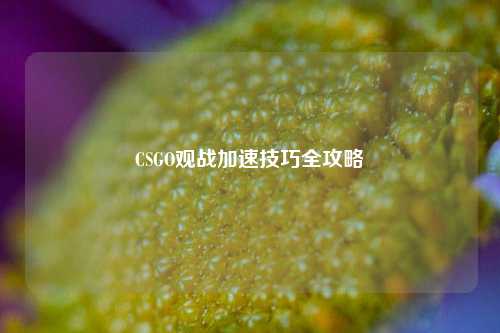 CSGO观战加速技巧全攻略