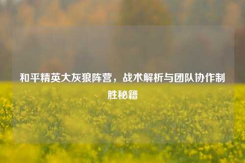 和平精英大灰狼阵营，战术解析与团队协作制胜秘籍
