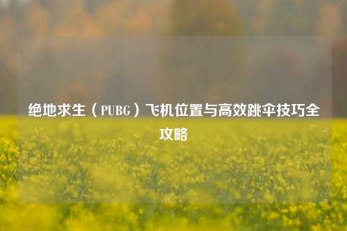 绝地求生(PUBG)飞机位置与高效跳伞技巧全攻略