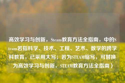 高效学习与创新,Steam教育方法全指南,中的Steam若指科学、技术、工程、艺术、数学的跨学科教育,已采用大写;若为STEAM缩写,可替换为高效学习与创新,STEAM教育方法全指南)