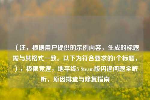 (注,根据用户提供的示例内容,生成的标题需与其格式一致。以下为符合要求的1个标题,),极限竞速,地平线5 Steam版闪退问题全解析,原因排查与修复指南