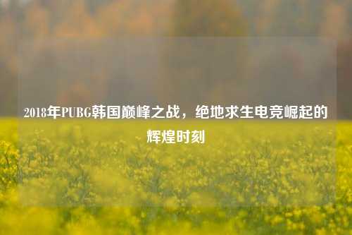 2018年PUBG韩国巅峰之战，绝地求生电竞崛起的辉煌时刻
