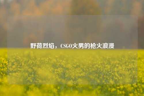 野荷烈焰,CSGO火男的枪火浪漫