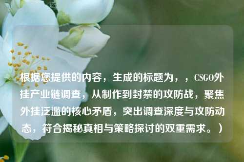 根据您提供的内容，生成的标题为，，CSGO外挂产业链调查，从制作到封禁的攻防战，聚焦外挂泛滥的核心矛盾，突出调查深度与攻防动态，符合揭秘真相与策略探讨的双重需求。）