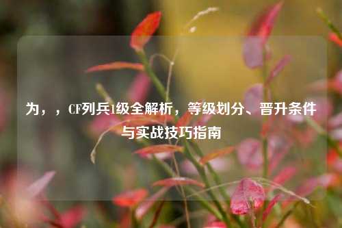 为，，CF列兵1级全解析，等级划分、晋升条件与实战技巧指南