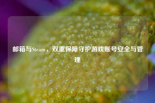 邮箱与Steam，双重保障守护游戏账号安全与管理