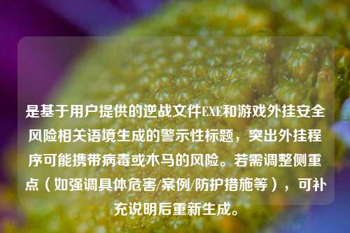 是基于用户提供的逆战文件EXE和游戏外挂安全风险相关语境生成的警示性标题，突出外挂程序可能携带病毒或木马的风险。若需调整侧重点（如强调具体危害/案例/防护措施等），可补充说明后重新生成。