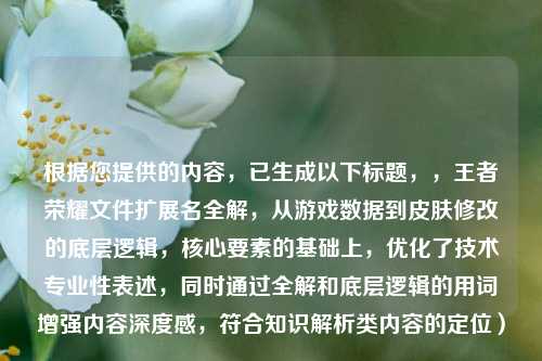 根据您提供的内容,已生成以下标题,,王者荣耀文件扩展名全解,从游戏数据到皮肤修改的底层逻辑,核心要素的基础上,优化了技术专业性表述,同时通过全解和底层逻辑的用词增强内容深度感,符合知识解析类内容的定位)