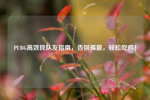 PUBG高效找队友指南,告别孤狼,轻松吃鸡!