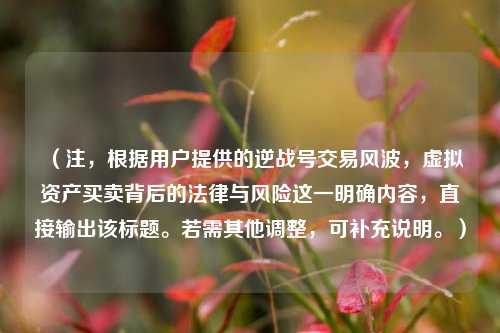 (注,根据用户提供的逆战号交易风波,虚拟资产买卖背后的法律与风险这一明确内容,直接输出该标题。若需其他调整,可补充说明。)
