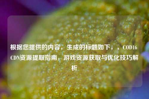 根据您提供的内容,生成的标题如下,,COD16 CDN资源提取指南,游戏资源获取与优化技巧解析