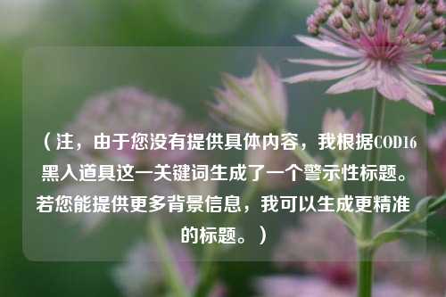 (注,由于您没有提供具体内容,我根据COD16黑入道具这一关键词生成了一个警示性标题。若您能提供更多背景信息,我可以生成更精准的标题。)
