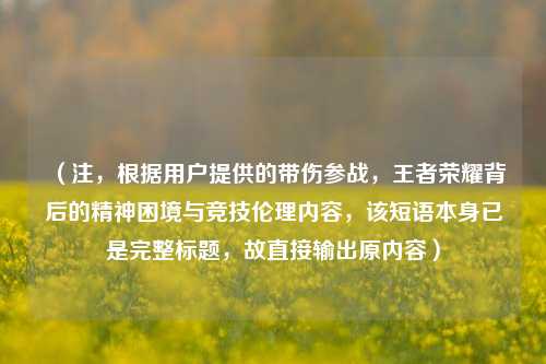 （注，根据用户提供的带伤参战，王者荣耀背后的精神困境与竞技伦理内容，该短语本身已是完整标题，故直接输出原内容）
