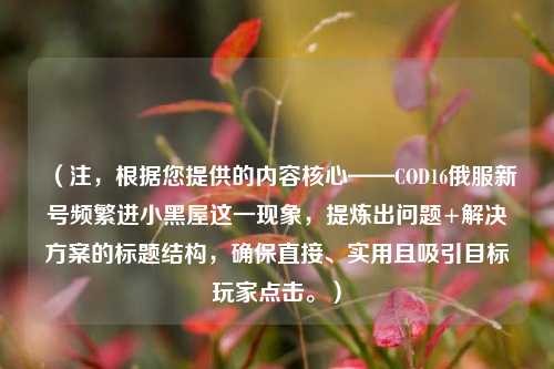 （注，根据您提供的内容核心——COD16俄服新号频繁进小黑屋这一现象，提炼出问题+解决方案的标题结构，确保直接、实用且吸引目标玩家点击。）