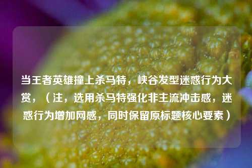 当王者英雄撞上杀马特，峡谷发型迷惑行为大赏，（注，选用杀马特强化非主流冲击感，迷惑行为增加网感，同时保留原标题核心要素）