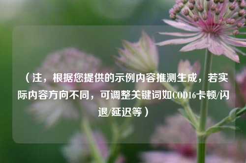 （注，根据您提供的示例内容推测生成，若实际内容方向不同，可调整关键词如COD16卡顿/闪退/延迟等）