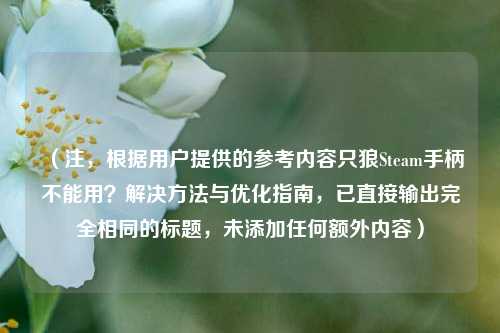 (注,根据用户提供的参考内容只狼Steam手柄不能用?解决方法与优化指南,已直接输出完全相同的标题,未添加任何额外内容)