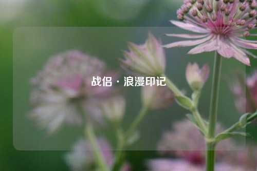 战侣·浪漫印记
