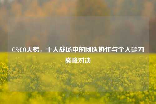 CS:GO天梯,十人战场中的团队协作与个人能力巅峰对决