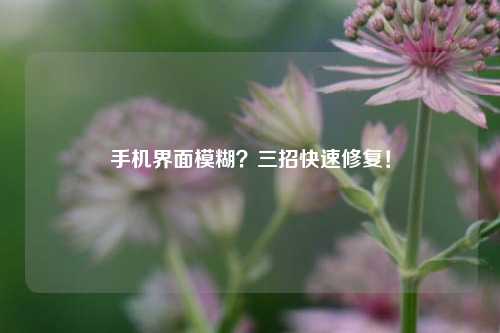 手机界面模糊?三招快速修复!