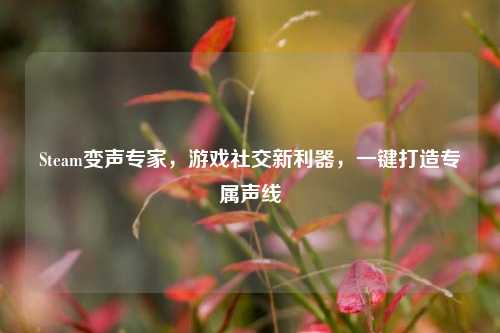Steam变声专家，游戏社交新利器，一键打造专属声线